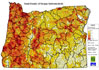 Road Density